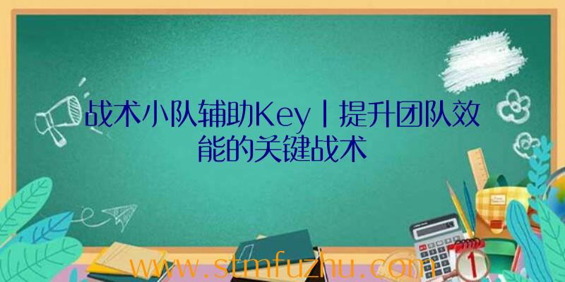 战术小队辅助Key|提升团队效能的关键战术